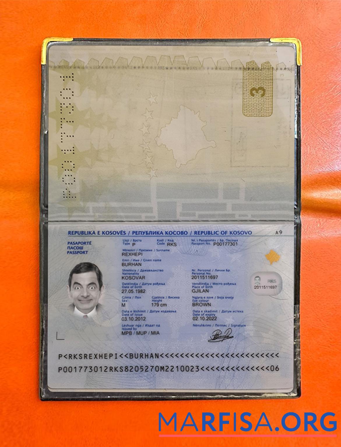 Printable Kosovo passport photolook real example